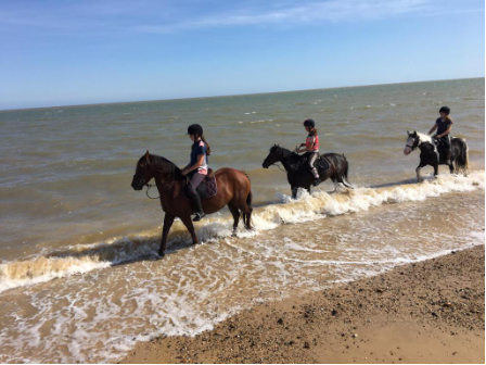 Beach Riding Holiday Suffolk